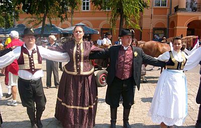 duzionica 2010